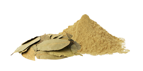 Senna Extract